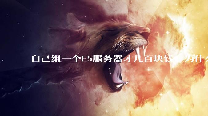 自己组一个E5服务器才几百块钱，为什么去阿里云租这么贵?